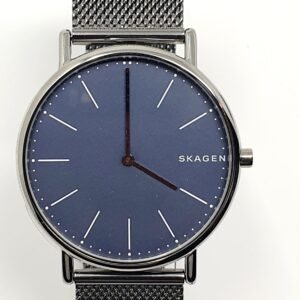 Skagen Signatur Men's Grey Titanium Mesh Bracelet Watch SKW6420