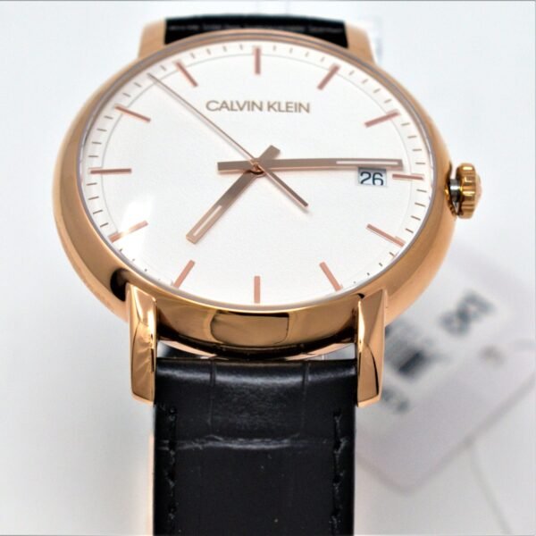 CALVIN KLEIN Established Men's Watch K9H216C6