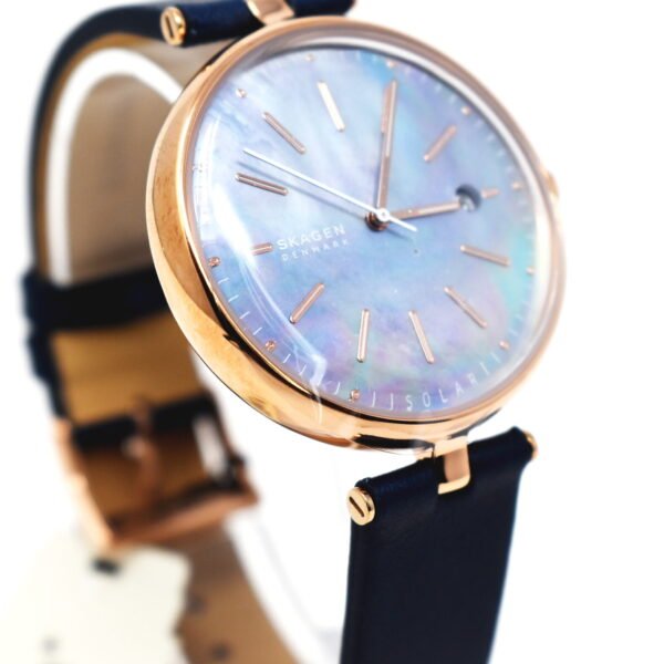 Skagen Karolina Stainless Steel Classic Solar Watch Skw2981
