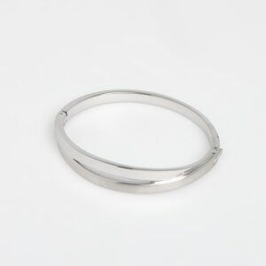 Skagen Kariana Silver Stainless Steel Hinged Bangle Bracelet Womens SKJ0714040