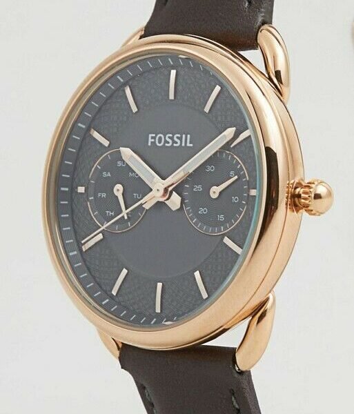 Fossil ES3913 Women Watch, Grey